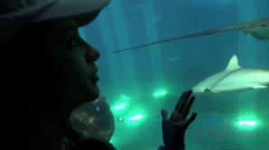 Lola gets dirty and gives you a road handjob.