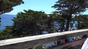 Serena Hill Norcal Part 5